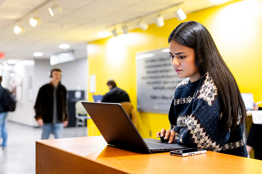 Student studying on laptop